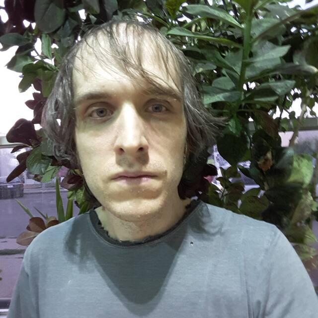 Andrew Warkentin